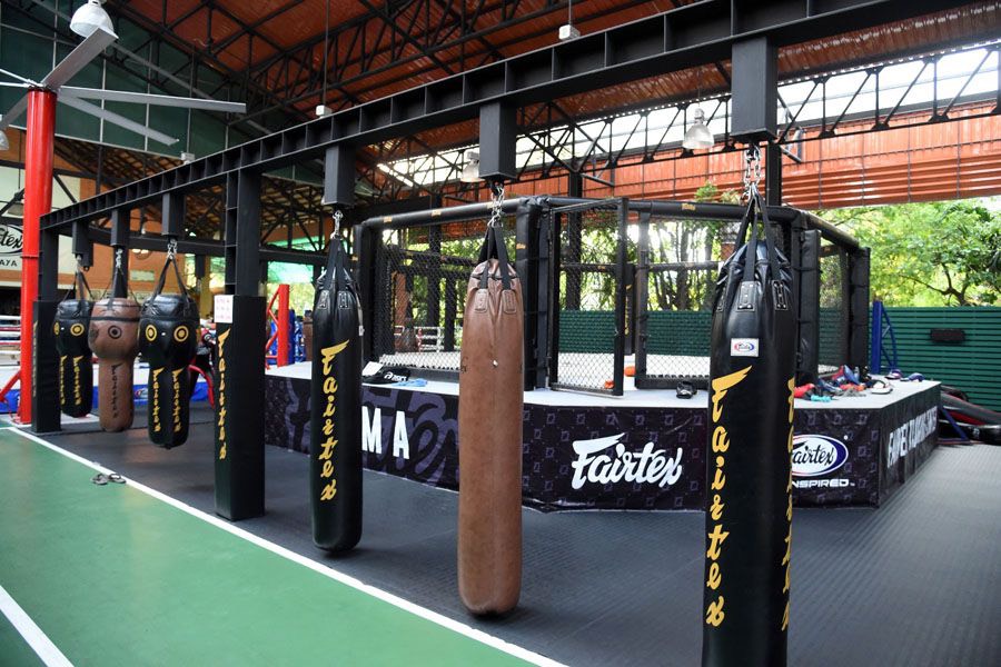 BAO CÁT FAIRTEX(việt nam 3 LỚP)