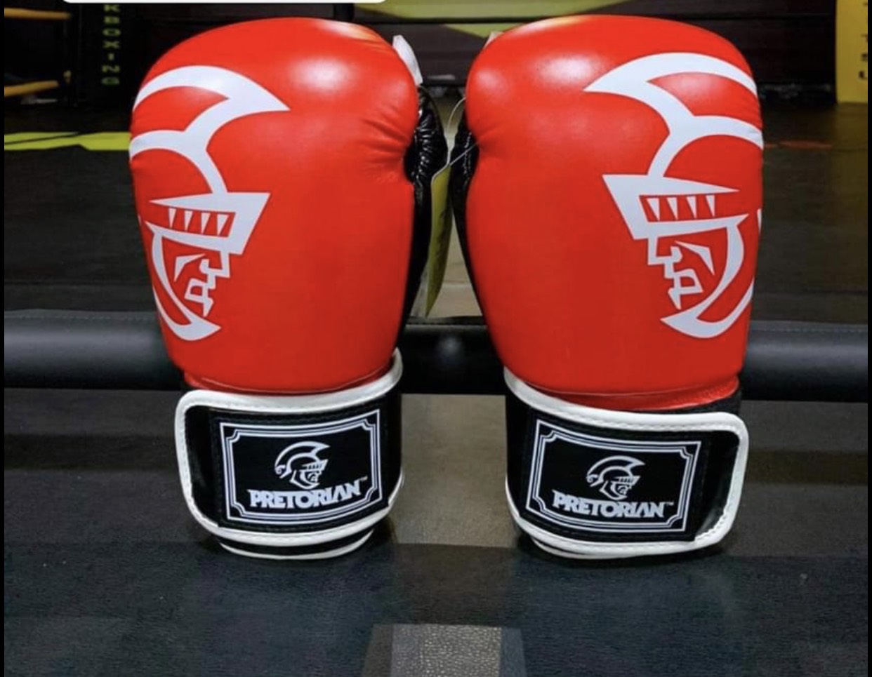 GĂNG PRETORIAN BOXING