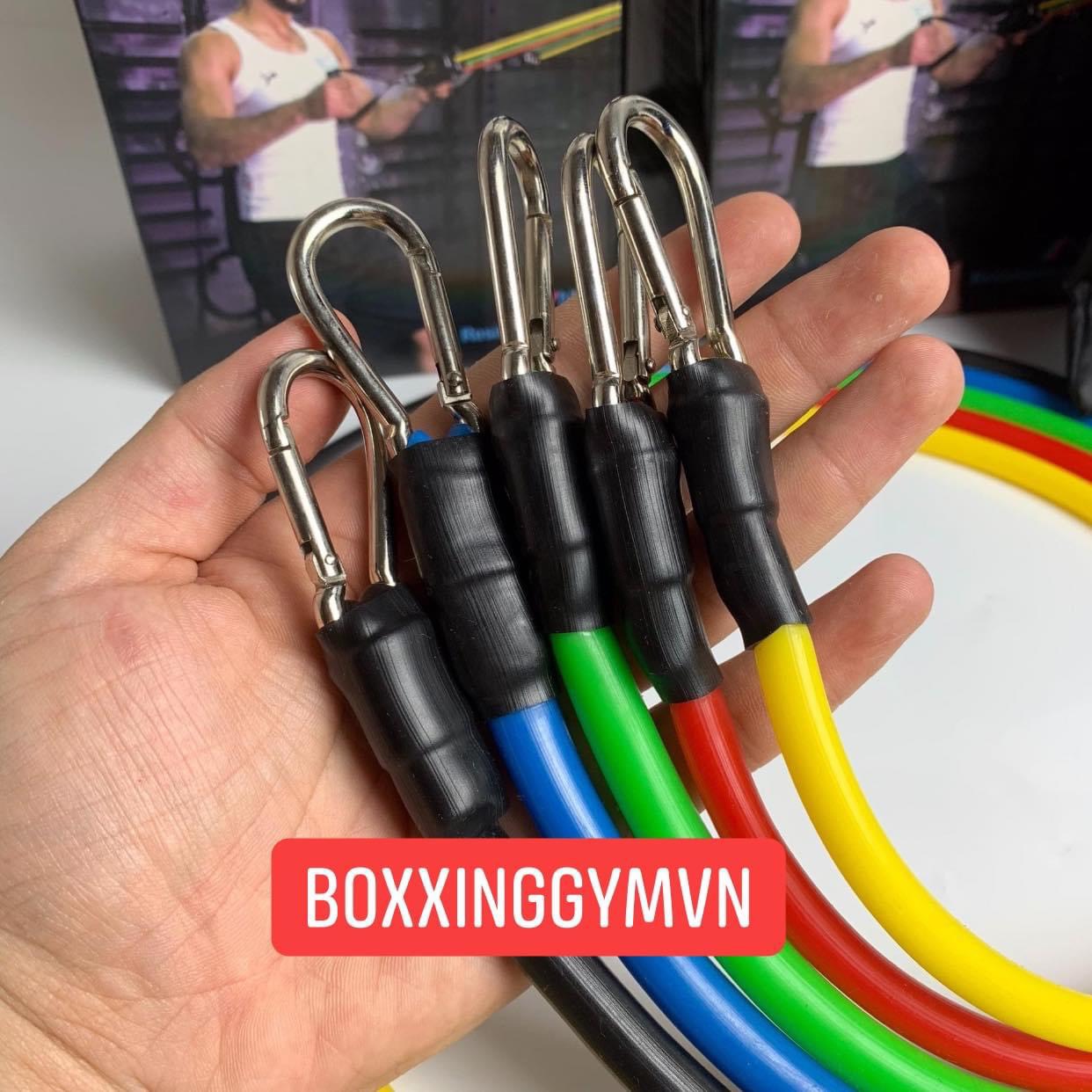 DÂY KHÁNG LỰC TẬP GYM NGŨ SẮC TỔNG MỨC LỰC 50KG power band