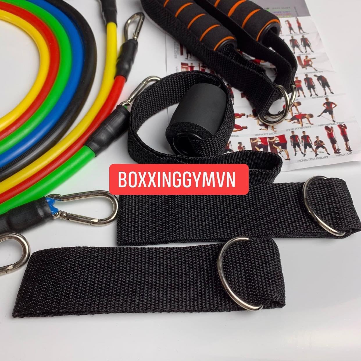 DÂY KHÁNG LỰC TẬP GYM NGŨ SẮC TỔNG MỨC LỰC 50KG power band