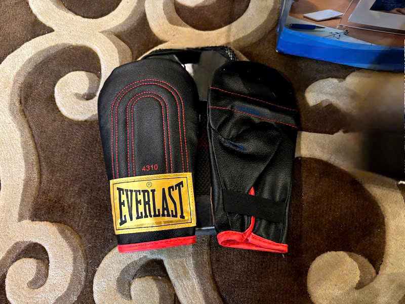 GĂNG ĐẤM BAO CÁT EVERLAST - găng tay tạ oldschool bag glove , Everlast 4310 Everhide Speed Bag Gloves , Everlast Genuine Leather Speed Bag Gloves