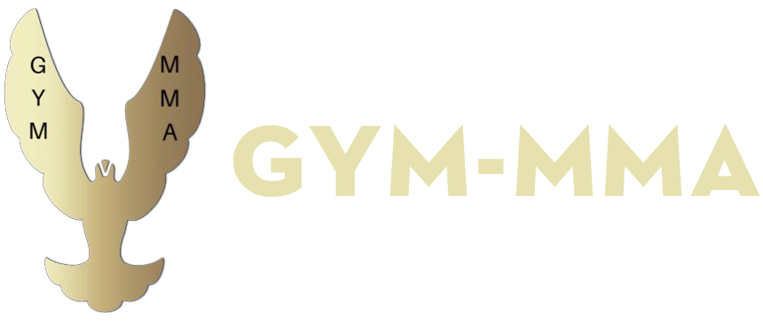 Boxing Gym Store VN