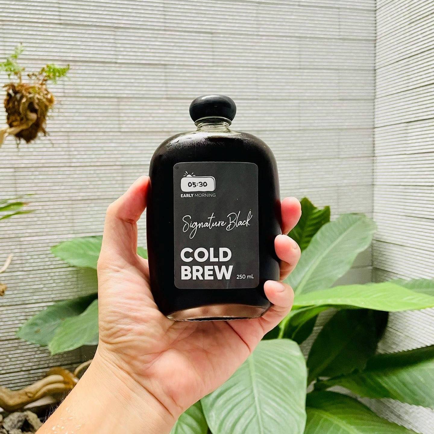 cách pha cold brew Early Morning cà phê ủ lạnh 