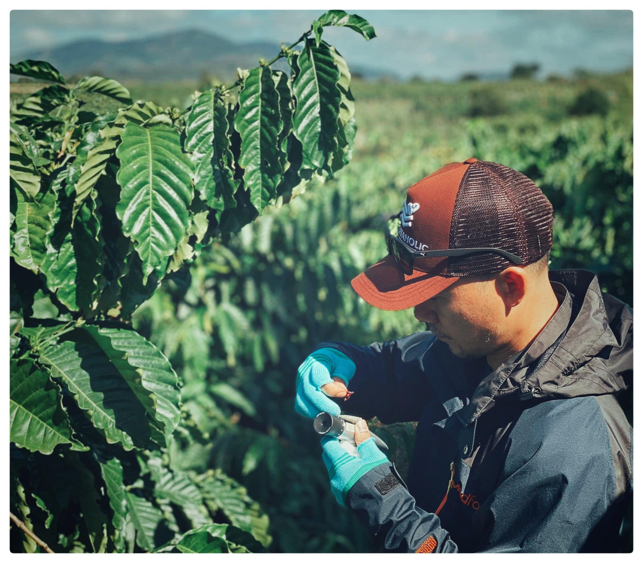 FINE-ROBUSTA-CUPPING-EVENT-EARLYMORNINGCOFFEE-EARLYMORNING-LOCVUNGCAFE-SPECIALTYCOFEE-ORGANICCOFFEE-10