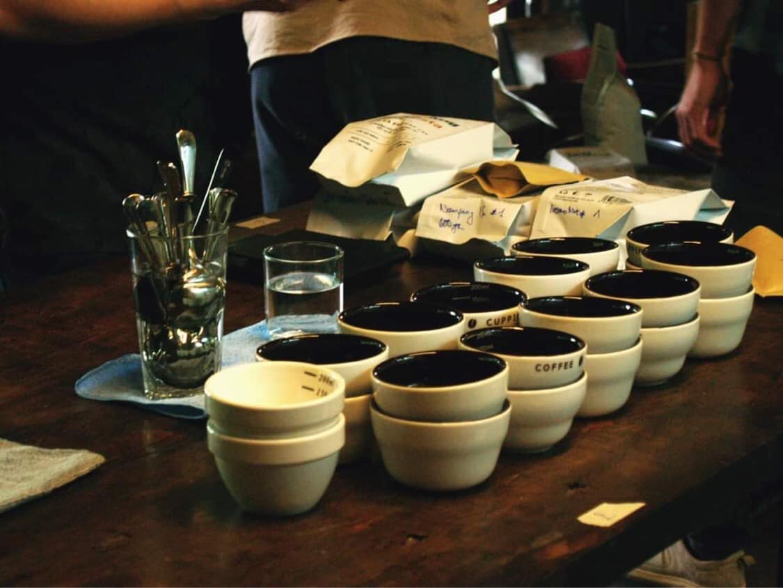 FINE-ROBUSTA-CUPPING-EVENT-EARLYMORNINGCOFFEE-EARLYMORNING-LOCVUNGCAFE-SPECIALTYCOFEE-ORGANICCOFFEE-7