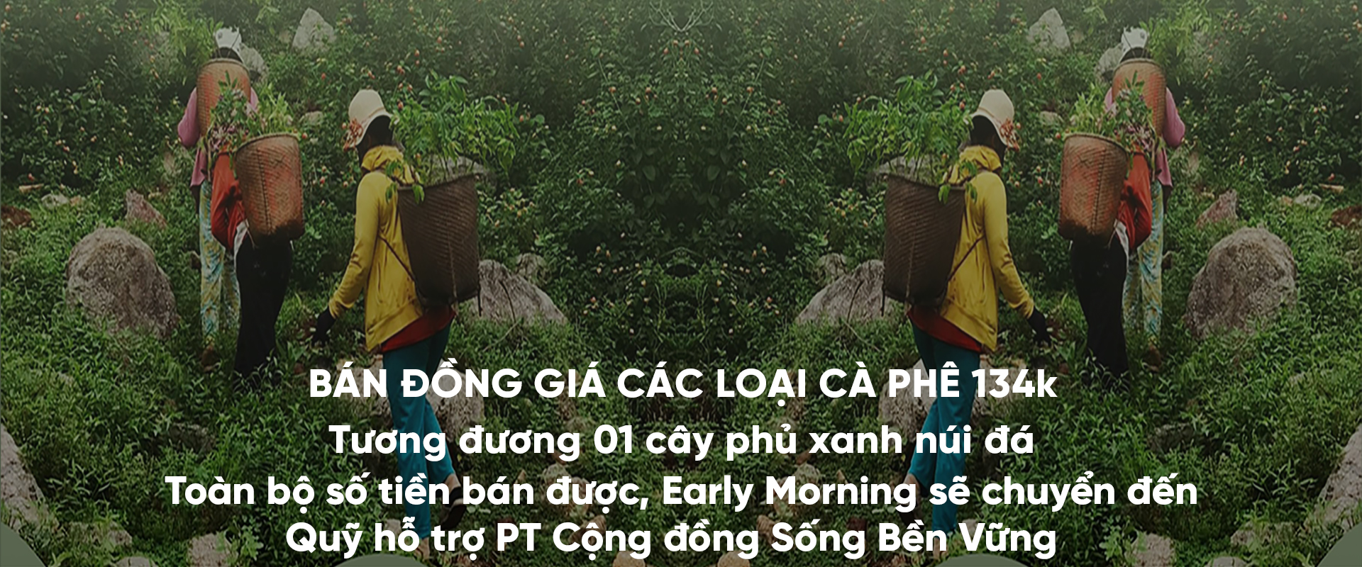 Sản phẩm khuyến mãi