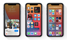 Apple cập nhật iOS 14, iPadOS 14, watchOS 7 và tvOS 14