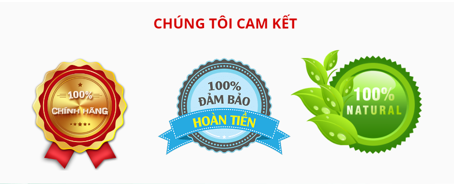 TẦM NHÌN & SỨ MỆNH