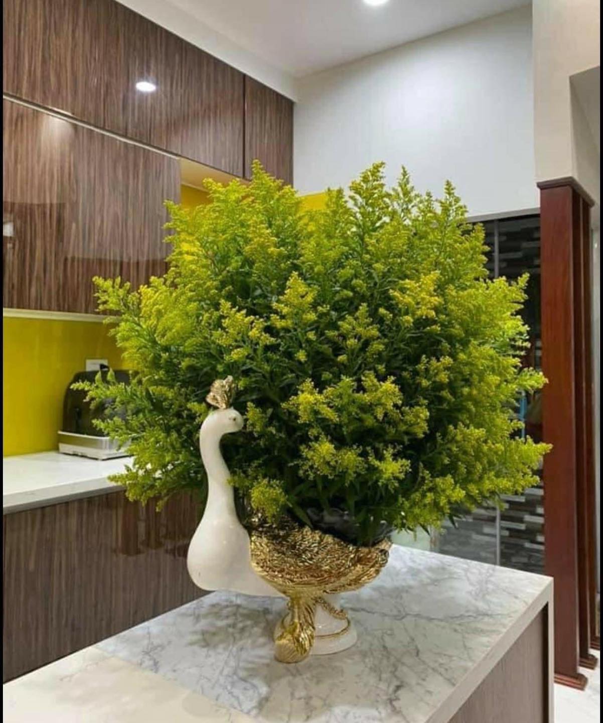 Hình Ảnh Con Công Xòe Đuôi Trên Những Món Đồ Decor