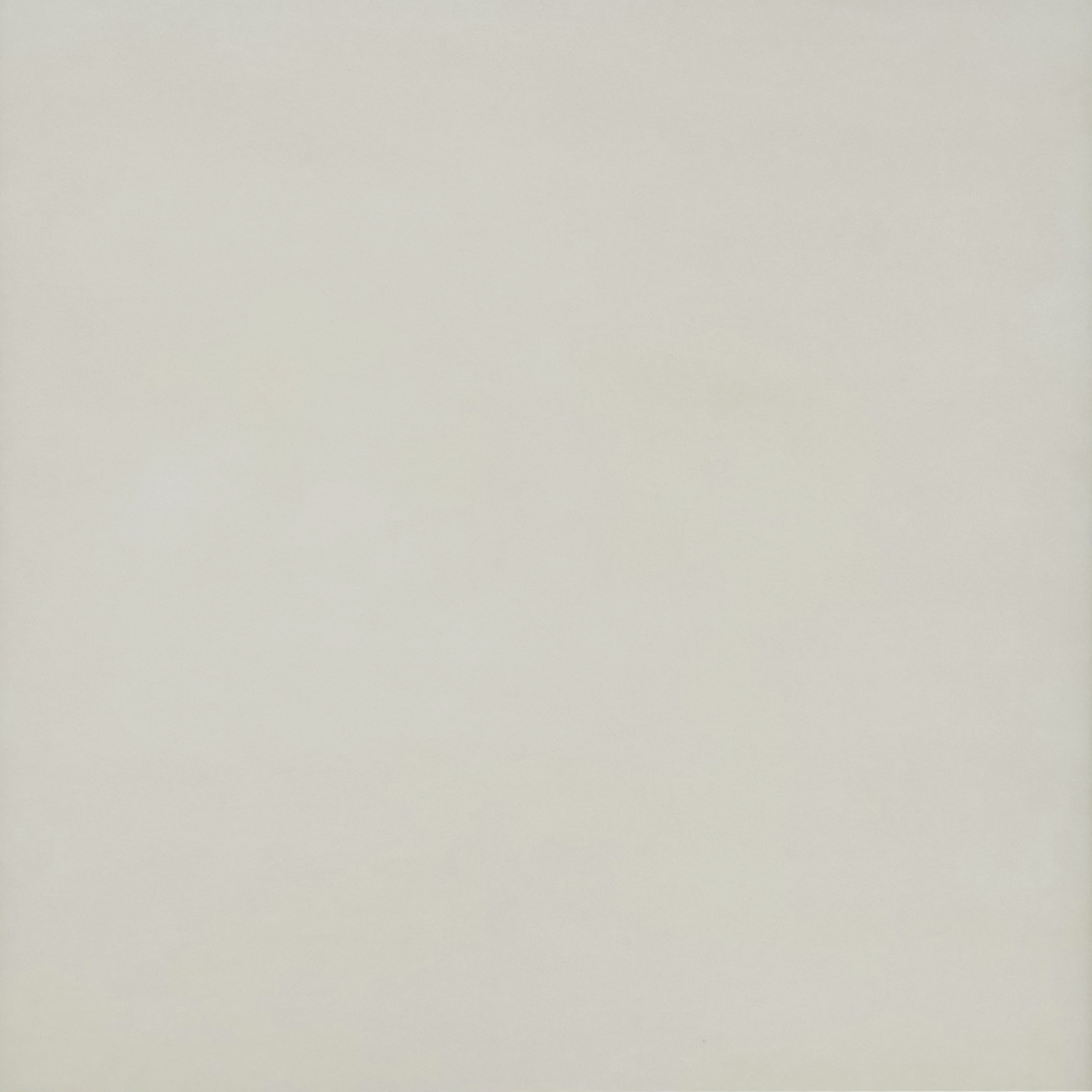 Gạch mờ 60x60 LB6608