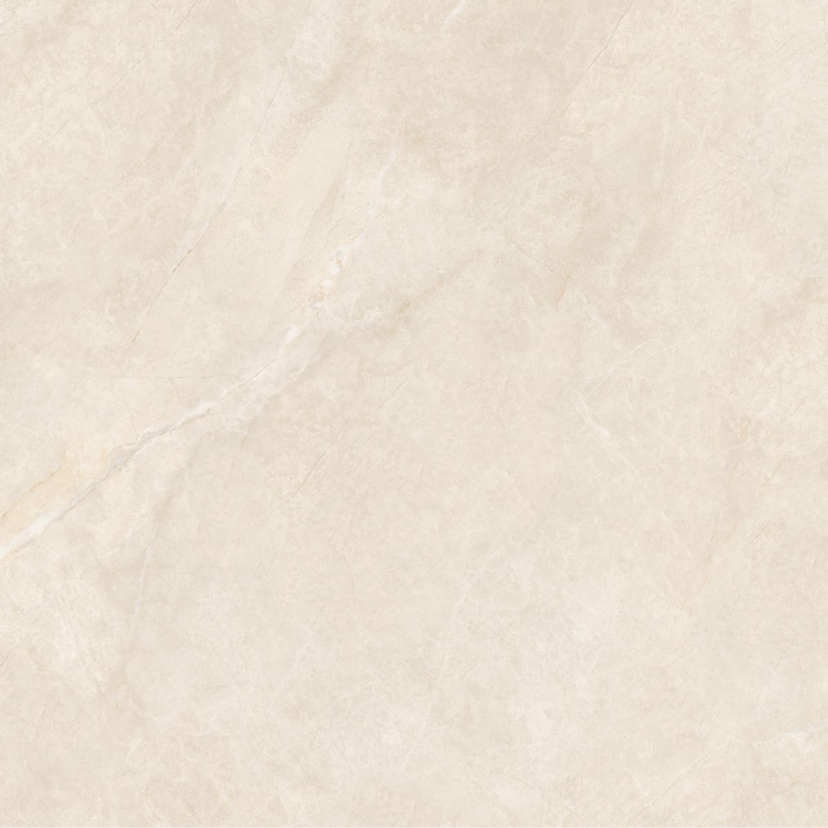 Gạch ốp nền 1000X1000 100LU1207