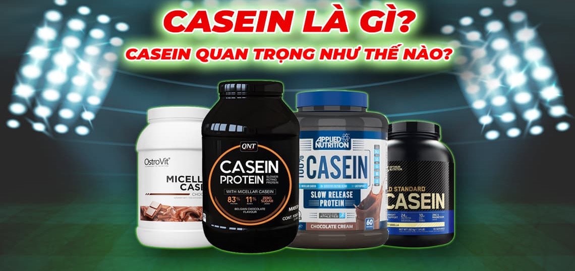 CASEIN LÀ GÌ? THÔNG TIN CHI TIẾT VỀ CASEIN PROTEIN