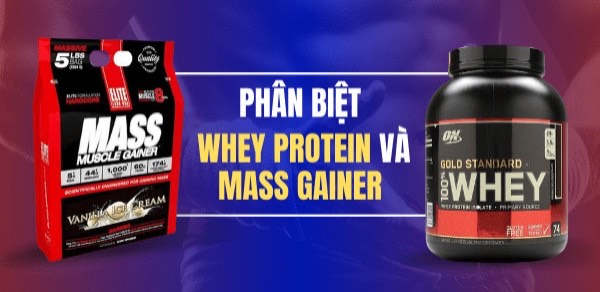 MỚI TẬP GYM NÊN UỐNG WHEY PROTEIN HAY MASS GAINER?