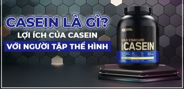 Casein Protein có tác dụng như thế nào với người tập Gym, tập thể hình?