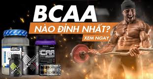 BCAA nào đỉnh nhất? Cách chọn mua phù hợp với nhu cầu của bạn