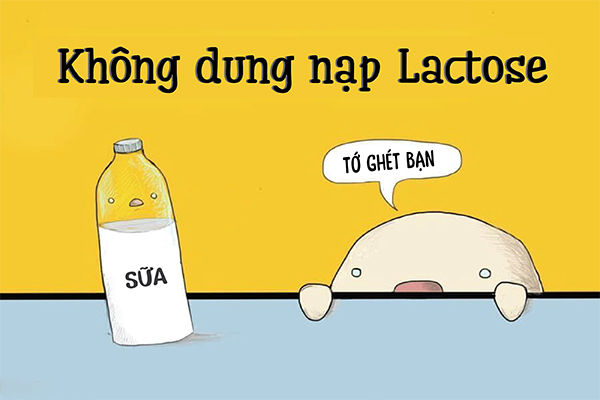 LACTOSE LÀ GÌ? NGUYÊN NHÂN VÀ CÁCH KHẮC PHỤC