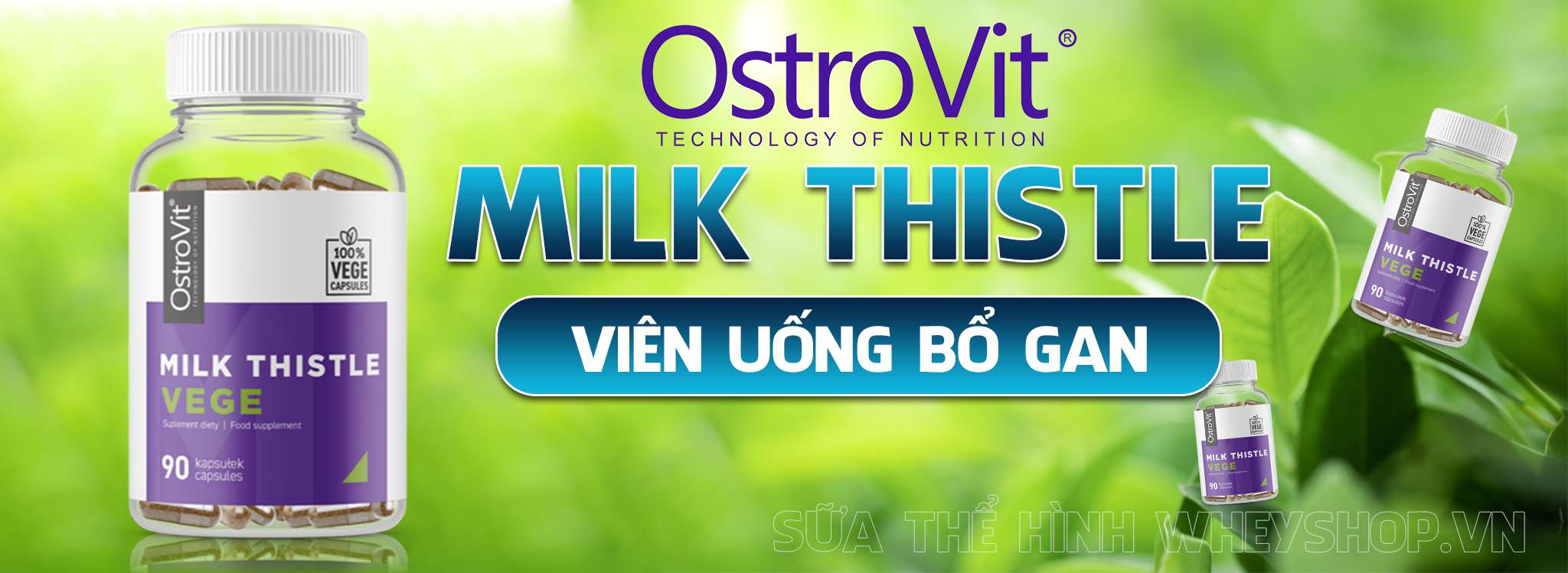 Viên uống bổ gan Ostrovit Milk Thistle có tốt không?