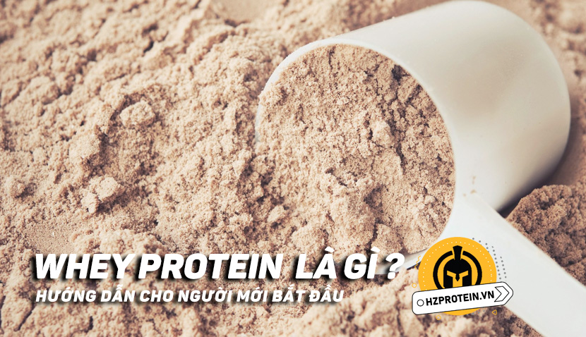 Whey Protein Và Cách Sử Dụng Hiệu Quả ? Hướng Dẫn Cơ Bản Cho Người Mới Bắt Đầu