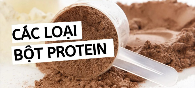 TOP PROTEIN TỐT NHẤT GIÚP TĂNG CƠ GIẢM MỠ HIỆU QUẢ