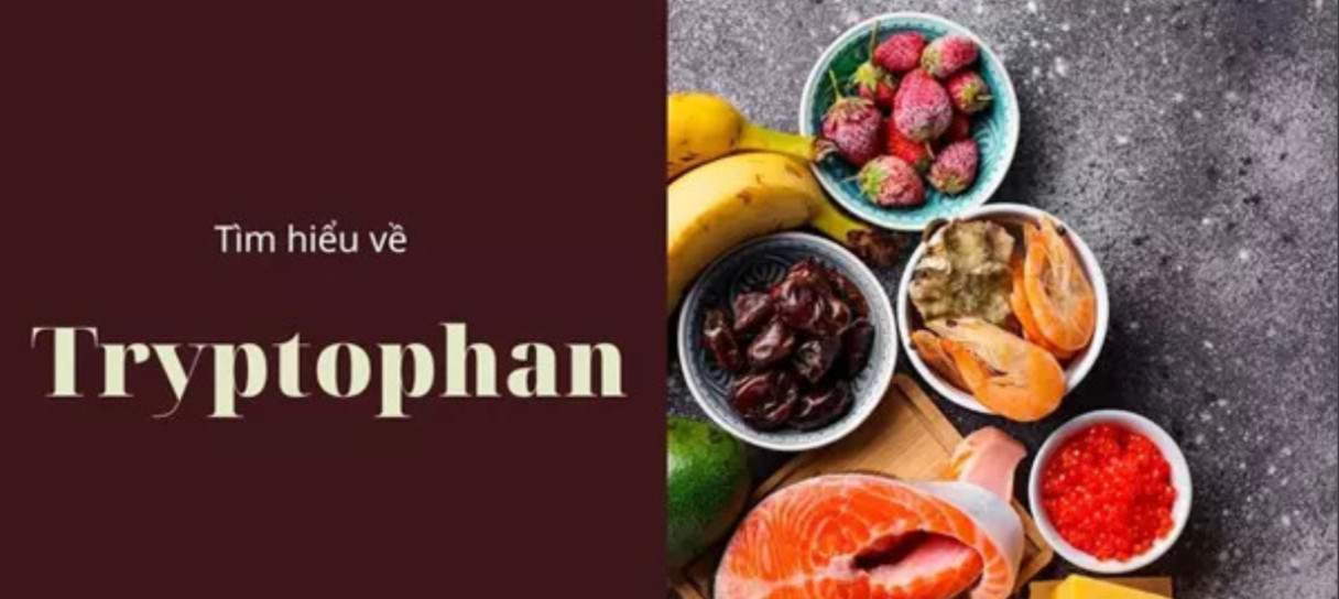 TRYPTOPHAN - LIỀU THUỐC CÔNG HIỆU !