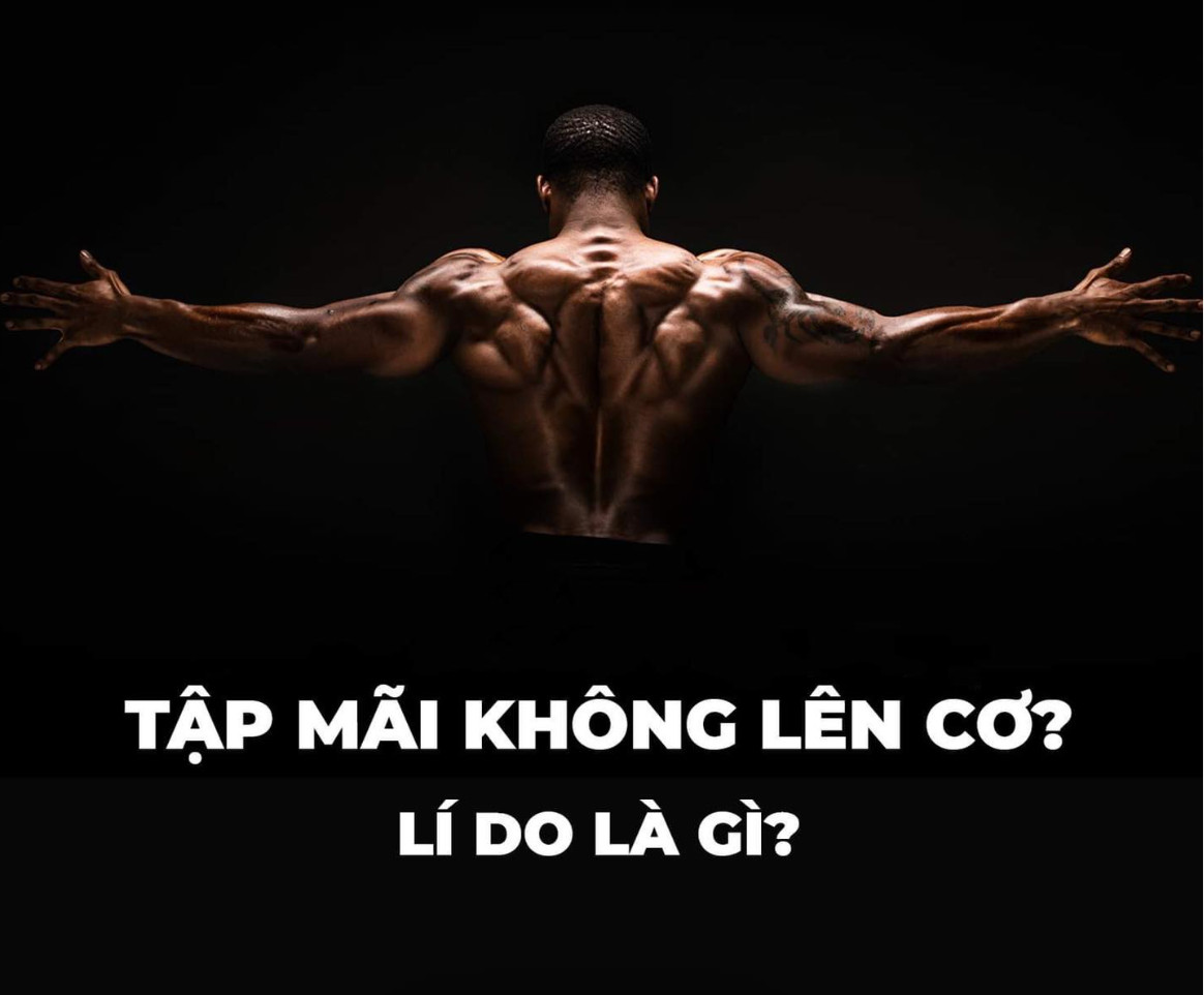 5 Lý Do Khiến Bạn Tập Mãi Mà Không Lên Cơ