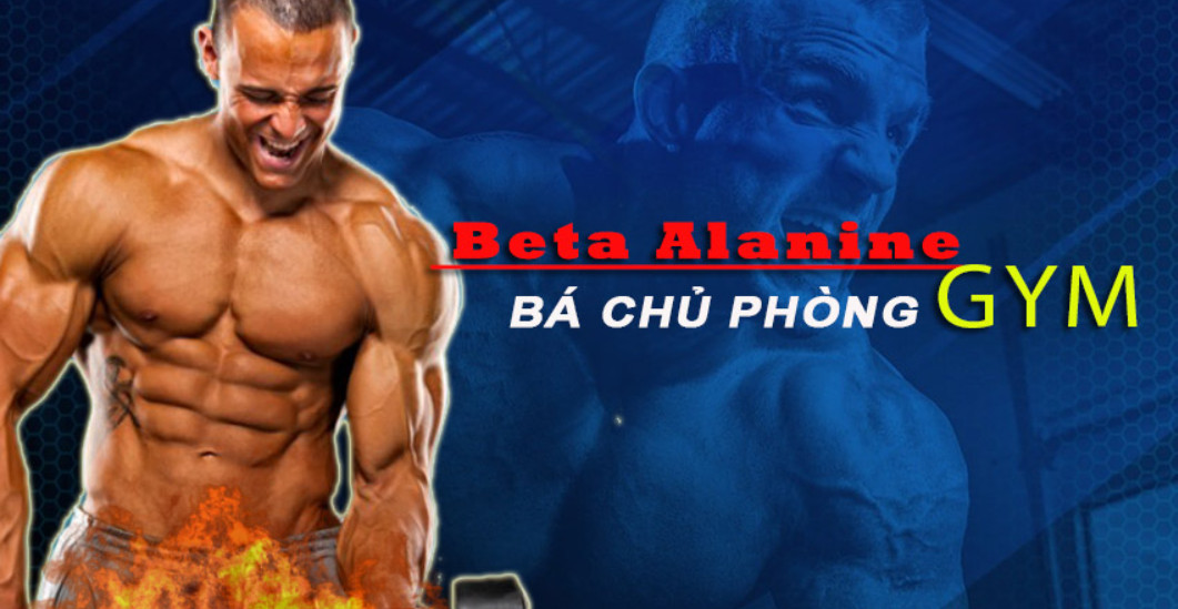 BETA-ALANINE: TẬP TRÂU HƠN GIÚP BẠN VƯỢT QUA GIỚI HẠN !