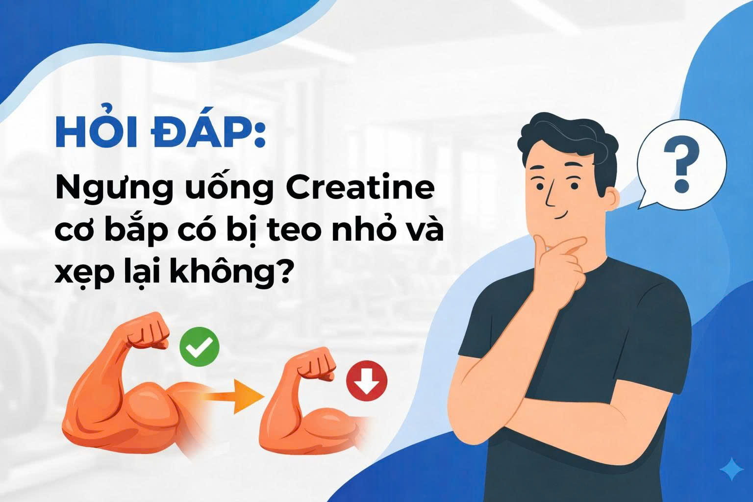 Hỏi Đáp: Ngưng uống Creatine cơ bắp có bị teo nhỏ và xẹp lại không?
