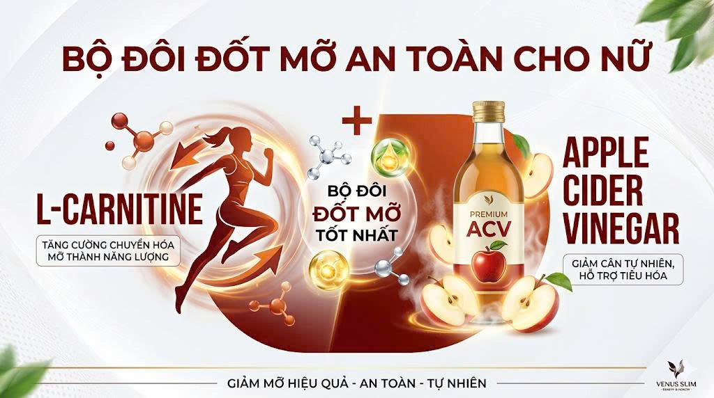 L-Carnitine và Giấm táo (Apple Cider Vinegar): Bộ đôi hỗ trợ đốt mỡ thừa an toàn cho nữ