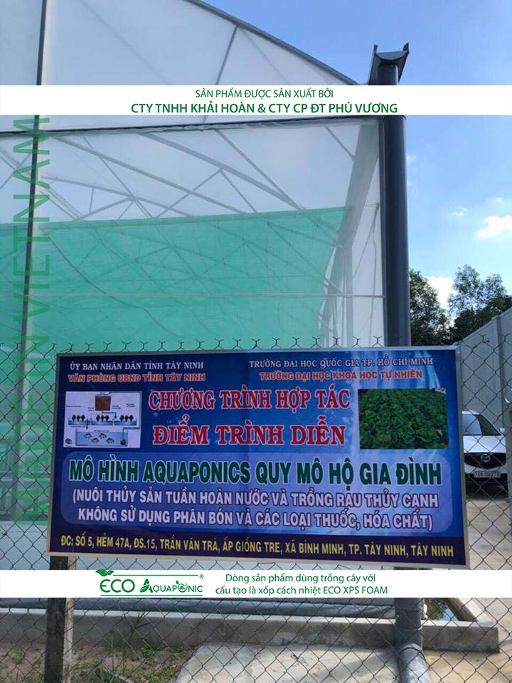 ECO AQUAPONIC - Xốp trồng rau thủy canh