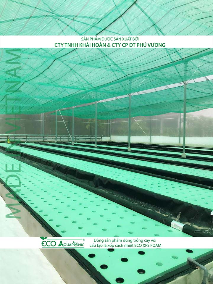 ECO AQUAPONIC - Xốp trồng rau thủy canh