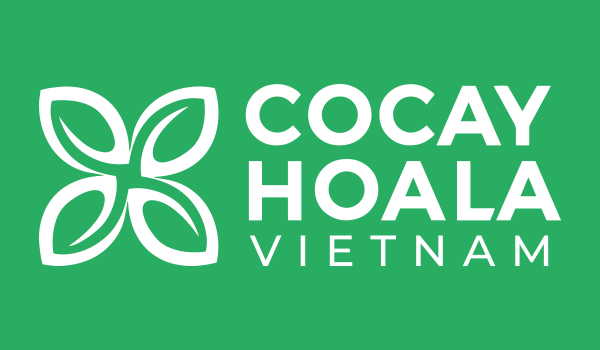 CÔNG TY TNHH SẢN PHẨM THIÊN NHIÊN & HỮU CƠ ONA GLOBAL