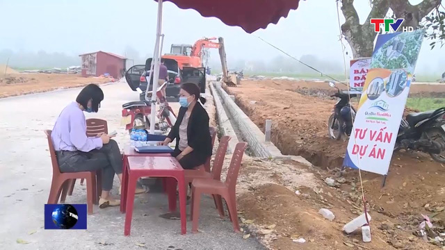 thời điểm thị trường đang sốt đất 