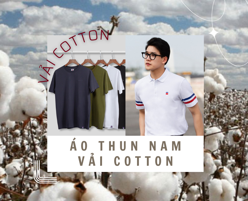 Áo thun nam vải cotton: Ưu điểm, Phân loại & TOP áo bán chạy