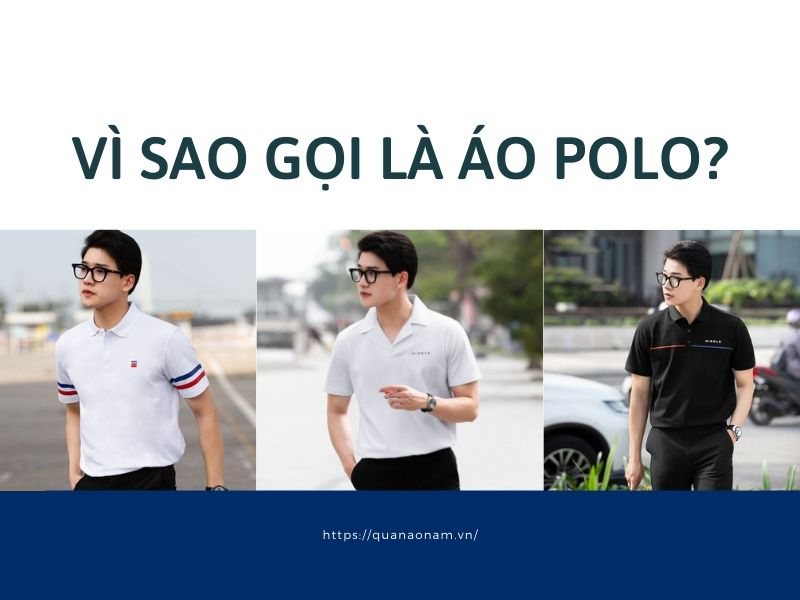 Vì sao gọi là áo polo? Tìm hiểu về lịch sử áo polo