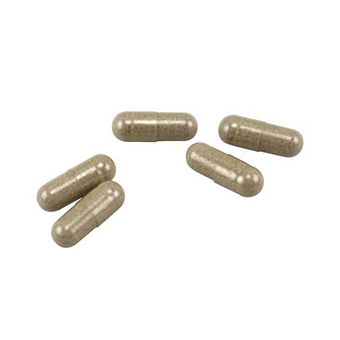 Nhung Hươu Goodhealth Vigor tăng cường sinh lý nam, Hộp 50 viên