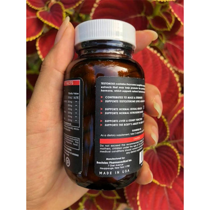 Testoboss bổ thận tráng dương, Hộp 60 viên