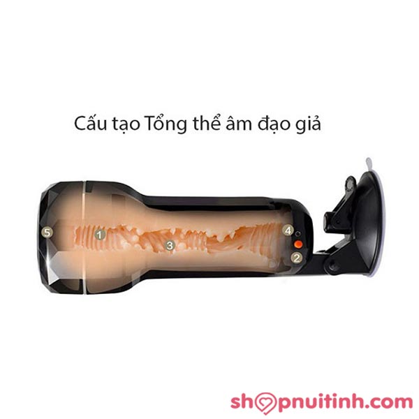 cấu tạo Âm Đạo Giả Gắn Tường Rung Rên MX Dream 