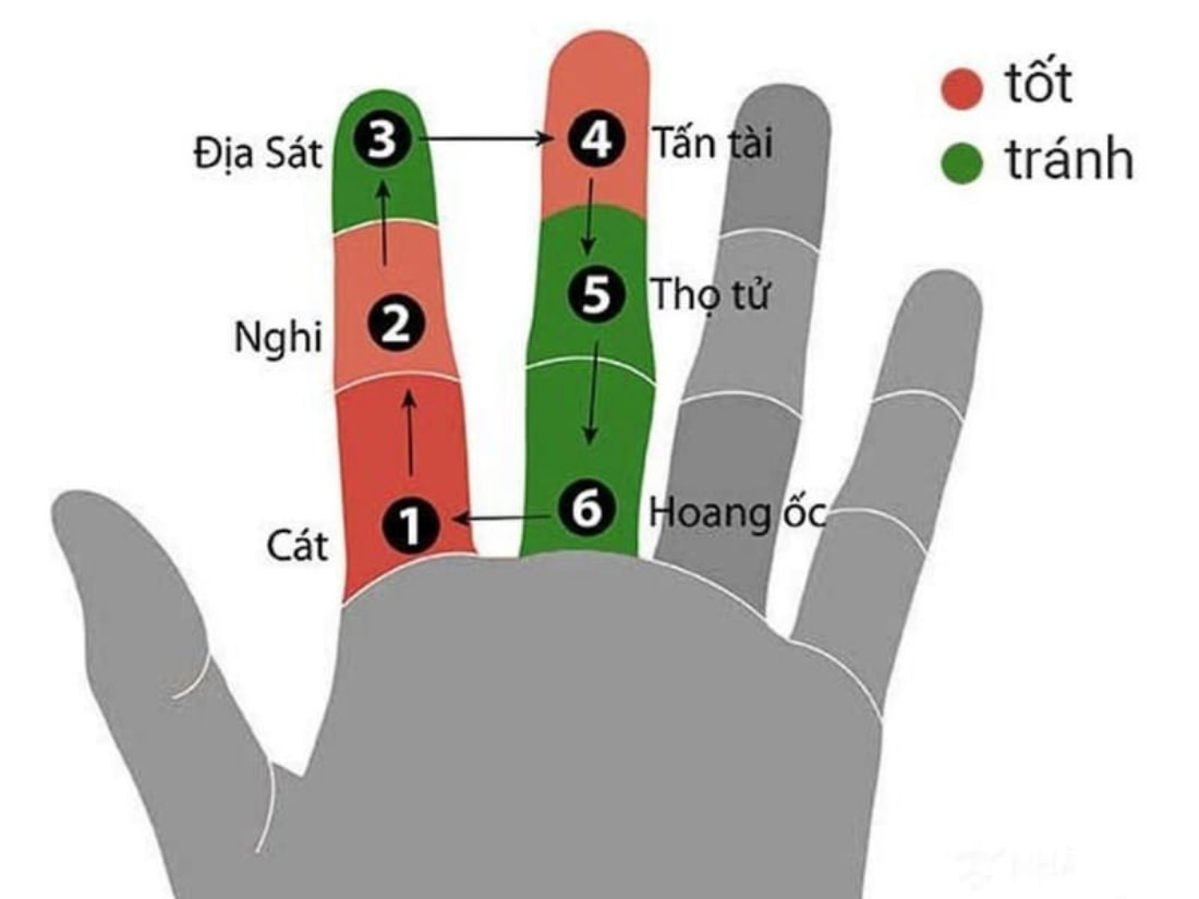 các cung của hoang ốc