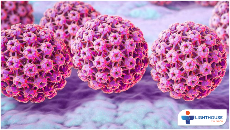 Top 5 điều bạn cần biết về virus HPV