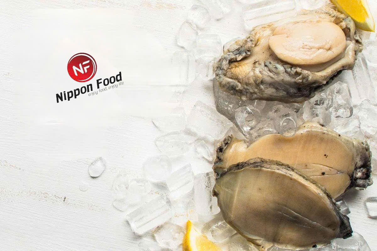 Hướng Dẫn Chọn Mua, Chế Biến Và Bảo Quản Bào Ngư