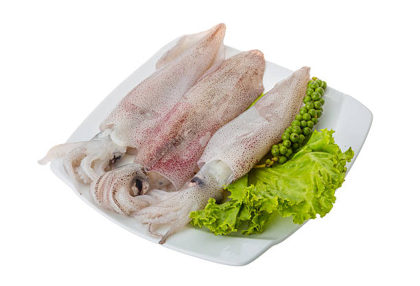 Cách luộc mực giòn, mực ngon, thịt căng mướt – Bí quyết từ Nippon