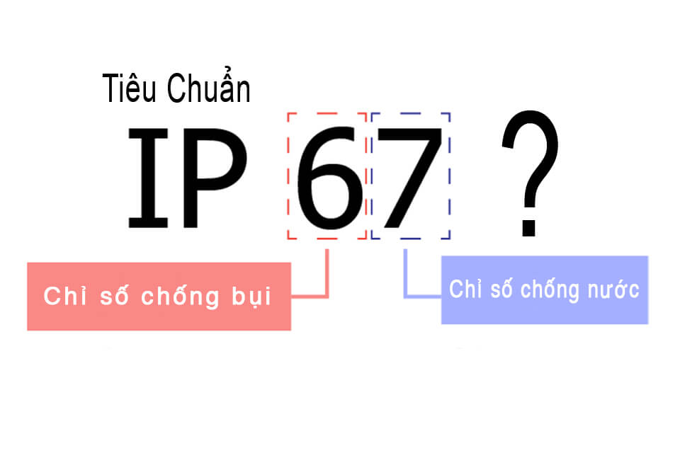 THẰN LẰN VÀ NHỮNG ĐIỀU CHƯA BIẾT VỀ TIÊU CHUẨN IP