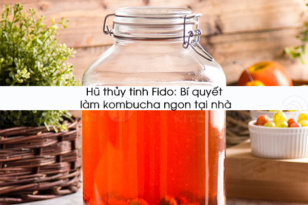 Hũ thủy tinh Fido: Bí quyết làm kombucha ngon tại nhà