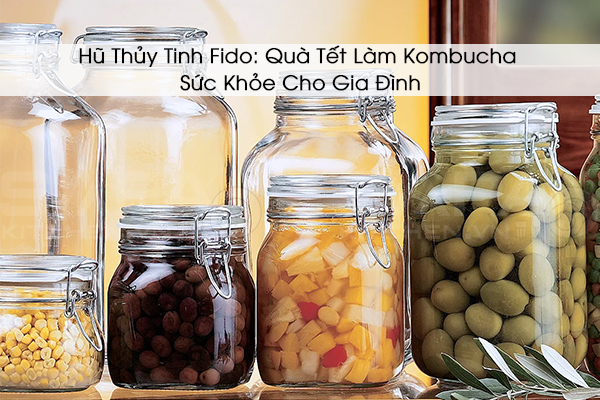 Hũ Thủy Tinh Fido: Quà Tết Làm Kombucha Sức Khỏe Cho Gia Đình