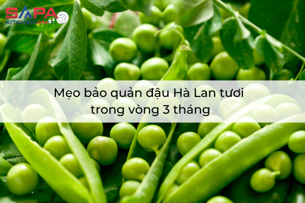 Mẹo bảo quản đậu Hà Lan tươi trong vòng 3 tháng