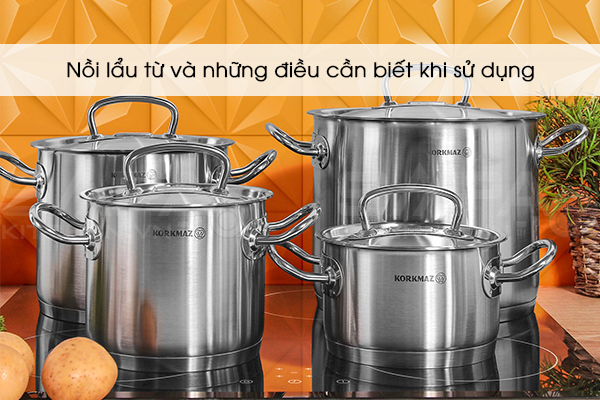 Nồi lẩu từ và những điều cần biết khi sử dụng