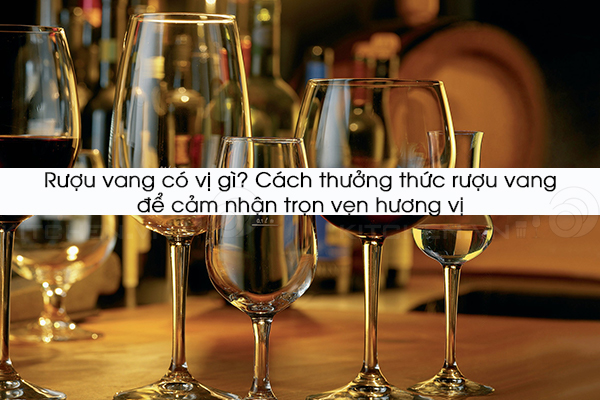 Rượu vang có vị gì? Cách thưởng thức rượu vang để cảm nhận trọn vẹn hương vị
