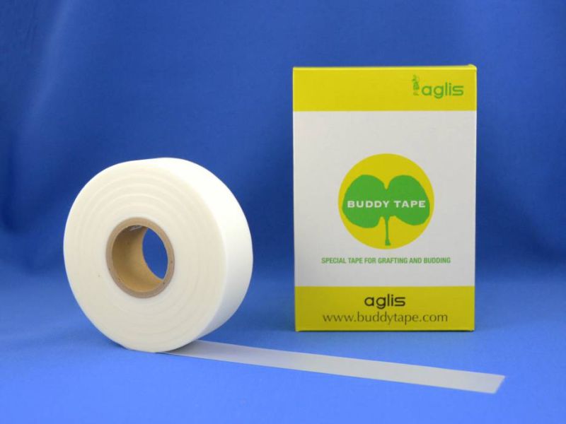 Băng Keo Tự Hủy Buddy Tape Aglis Nhật Bản, Chuyên Dụng Ghép Cây
