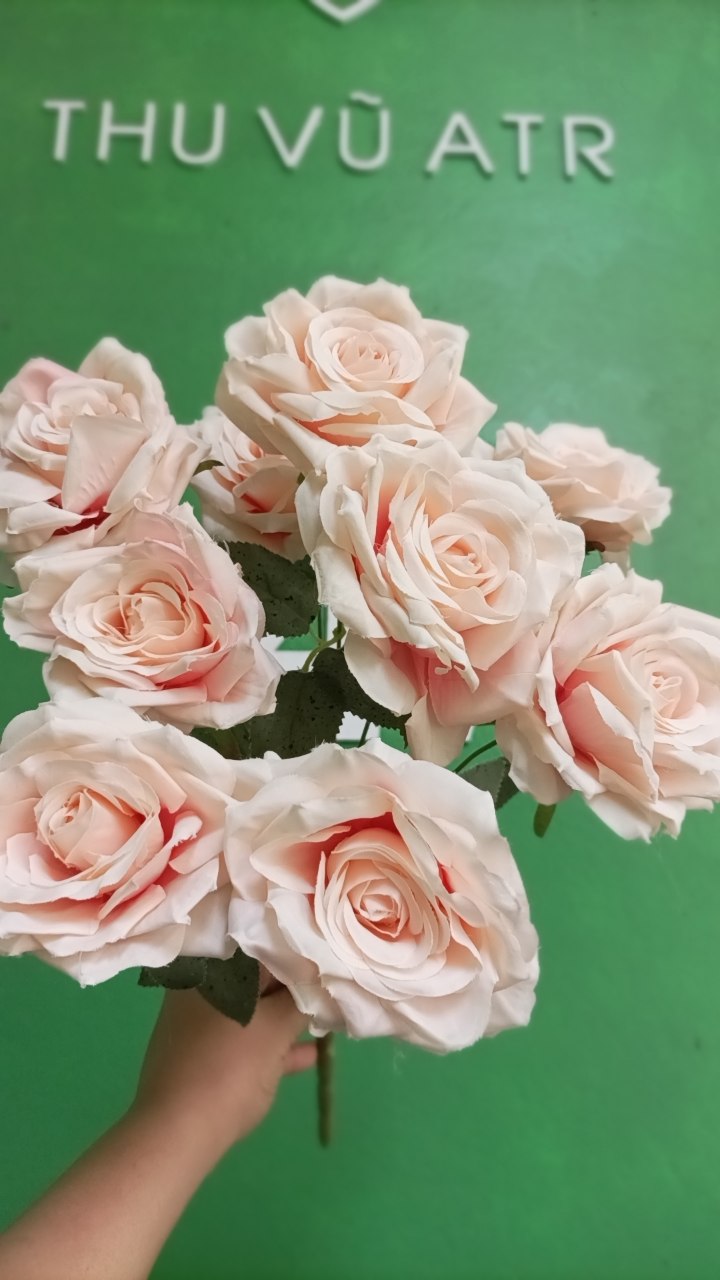 Cụm hồng 9 bông