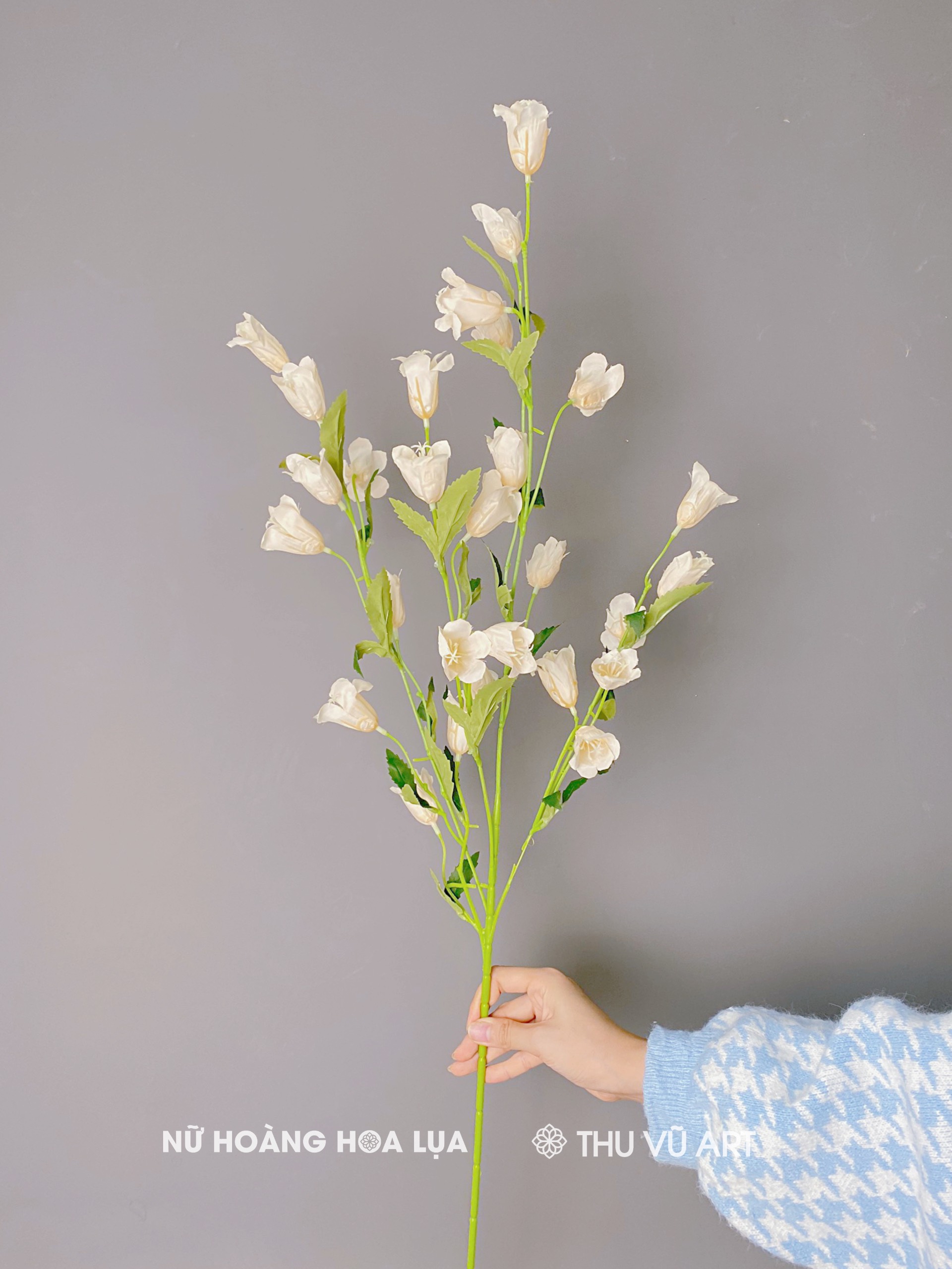 Hoa Lay Ơn 5 nhánh